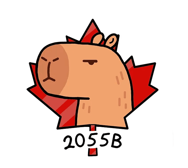 Brampton Robotics VRC Qualifier and Skills, Judging