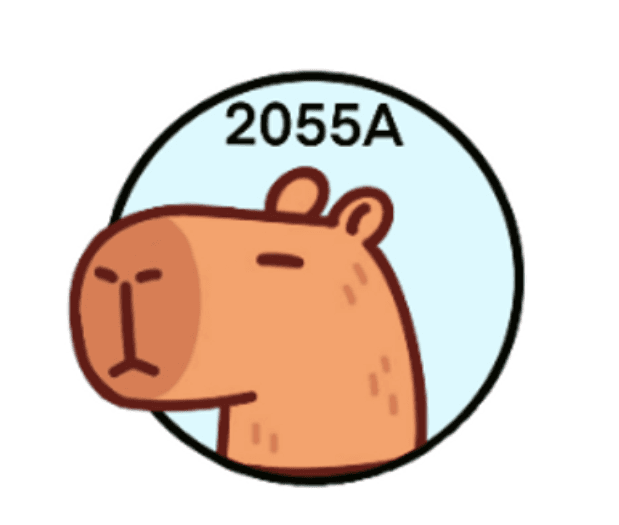 2055A logo